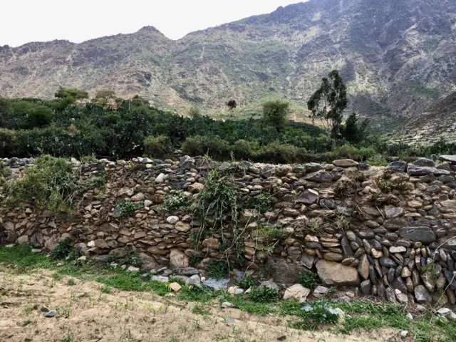 ግራውቲ ደልዲሉ ዝሕዝ ዛላ ኣብ ኢሮብ ዓሊቴና