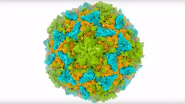 மருந்துகளாக மாற்றப்பட்ட தாவரம்