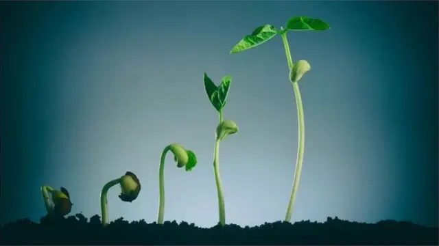 जीवन का उद्भव