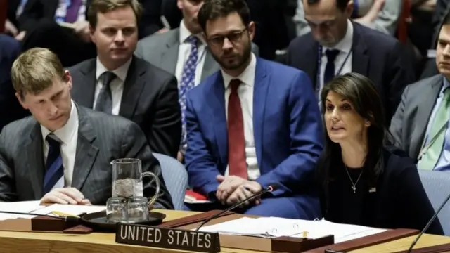 美国驻联合国大使黑利