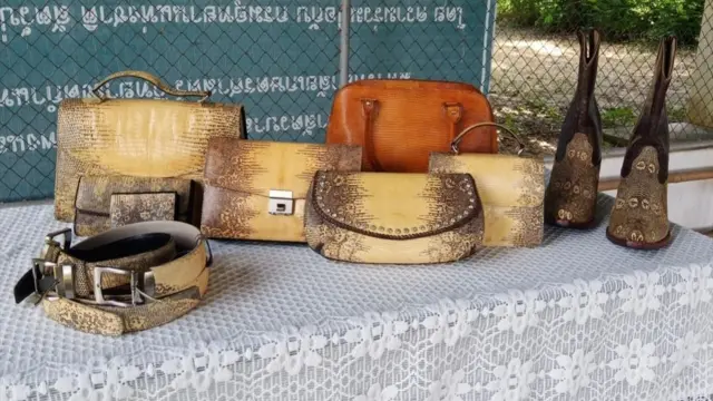 เครื่องหนังจากเหี้ย