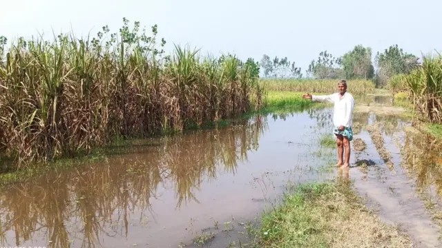 उत्तर प्रदेश