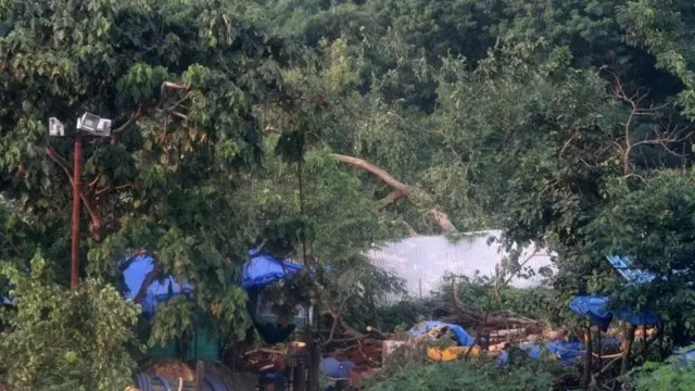 आरे कॉलोनी