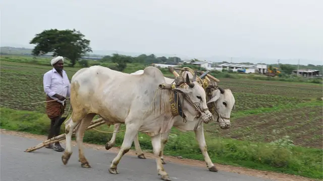 నాగలితో వెళ్తున్న రైతు
