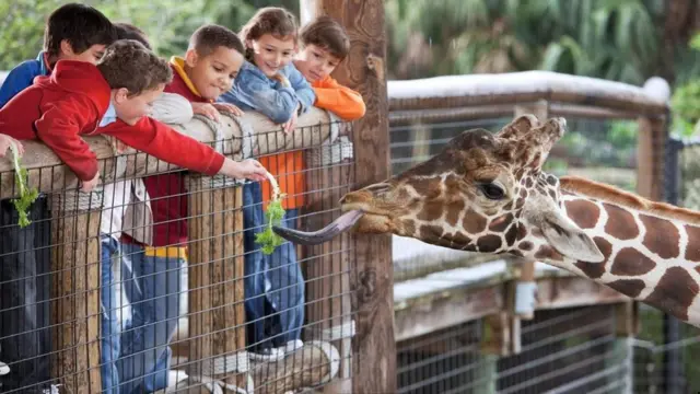 Niños jugando con una jirafa