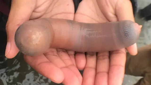 Тіке жалаңаш ерлердің фотосуреттері