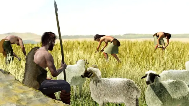 Земледелие в очередной раз изменило наш организм