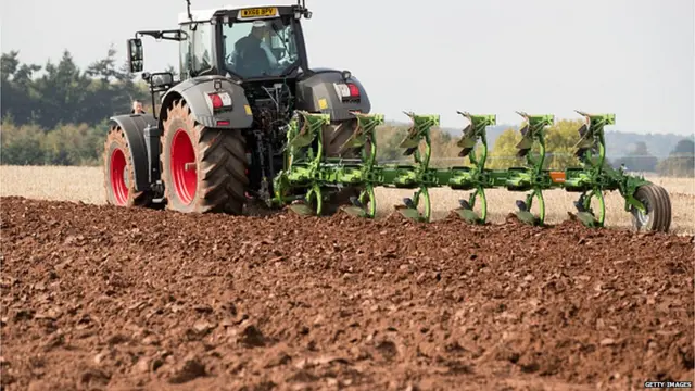 पंजाबमध्ये शेती उत्पादन एवढं चांगलं कसं?