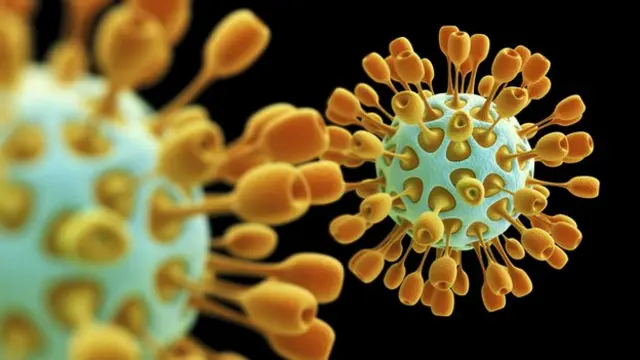 मौसमी रुघा