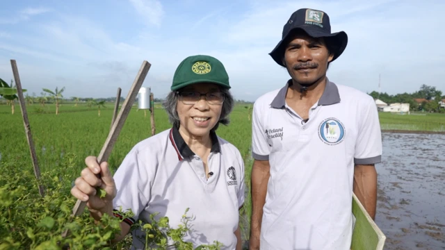 petani perubahan iklim