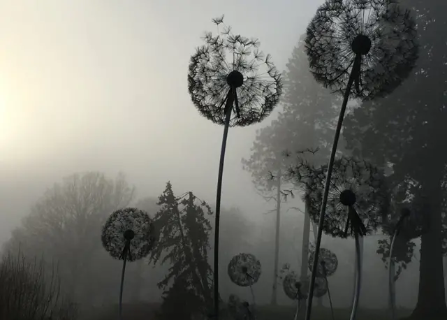 دھات کا بنا ہوا ککروندوں کا جال