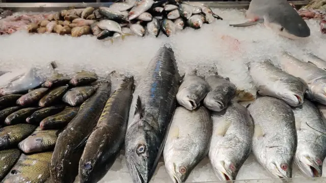 తెలంగాణ చేపలు బ్రాండ్ ప్రారంభం కానుంది.