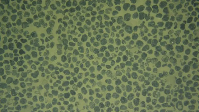 Nódulos de manganês na região de Clarion Clipperton