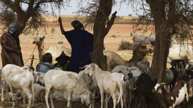 Des bergers peuls à Boré,, près de Mopti.