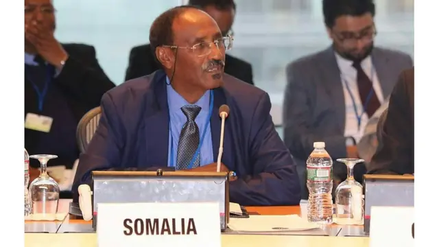 Wasiirka maaliyadda Soomaaliya