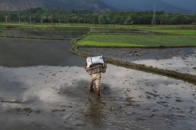 A farmer carrying a bag of fertiliser