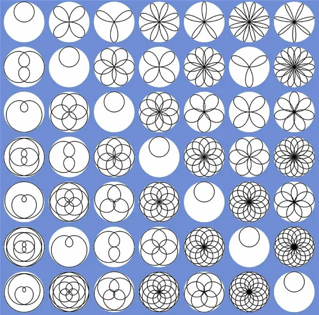 Plusieurs varietes de roses.