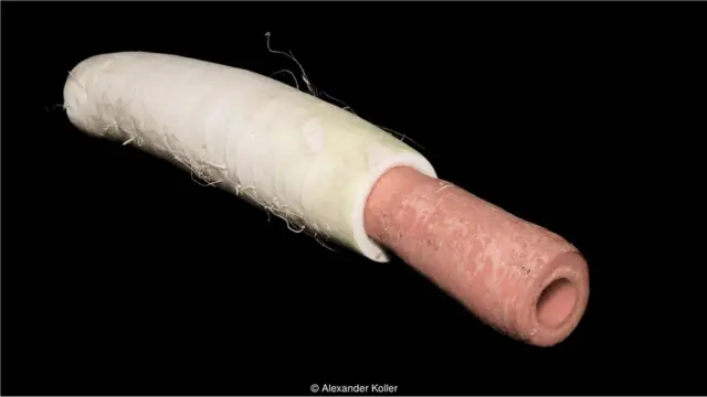 Corneta de cenoura e nabo