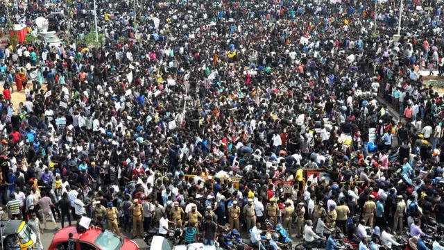 जल्लीकट्टू बंद किए जाने का विरोध