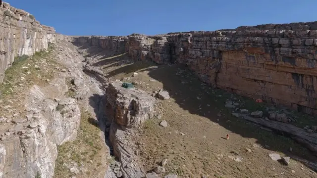 Ғоршунослар жамлоғи