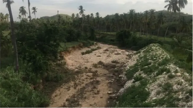 తమిళనాడు శవం