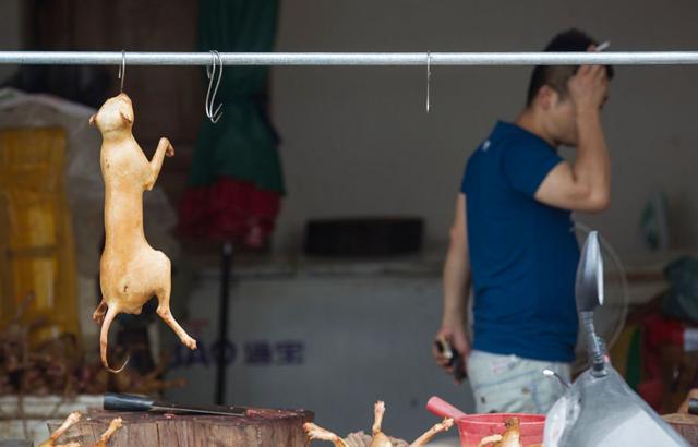 在中国历史上，很多地区有吃狗肉的习惯，但如今在中国食用狗肉的人群逐渐下降。