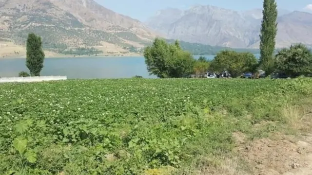 Tizzalarimgacha cho‘zilib ketdi Minsk transvestitlari