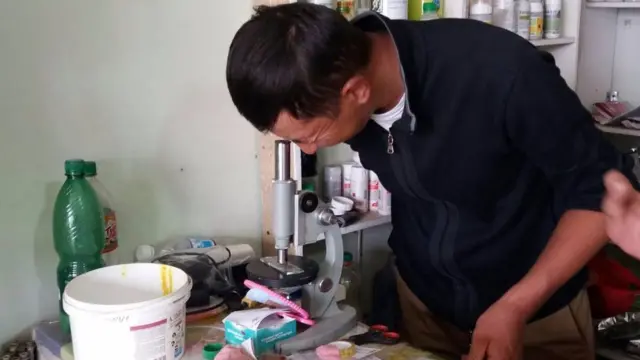 Сарымсактын иммунитети бир аз чабал келет, ооруларга туруксуз