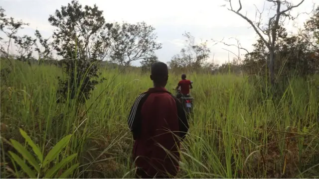 Malgré les difficultés administratives liées aux concessions communautaires, elles ont été largement saluées comme un outil efficace pour le développement durable des forêts