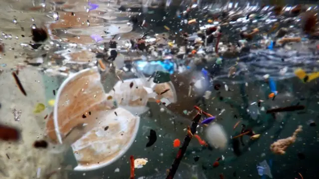 ஆழ்கடல் பகுதியில் பெருமளவில் பிளாஸ்டிக் கழிவுகள் கண்டெடுப்பு