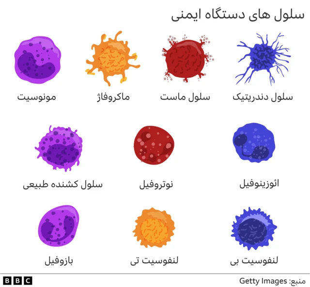 سربازانی که شما را سالم نگاه می دارند