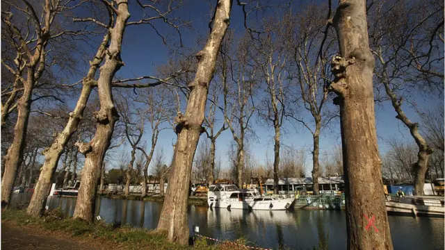 Canal du Midi Fransa