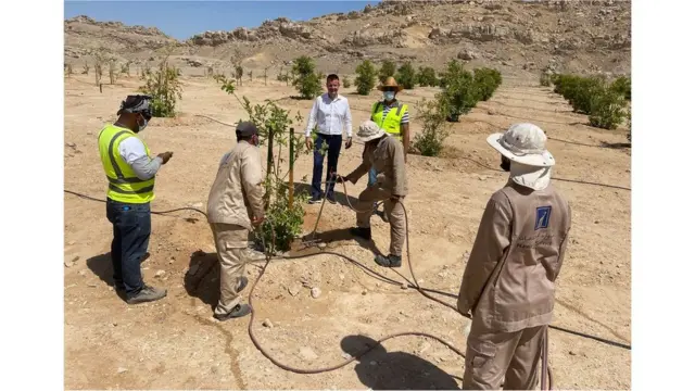 Tratamentotik tak take slotgoiabeiras com argila natural líquidatik tak take slotAl Ain, Abu Dhabi