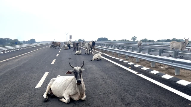 बुंदेलखंड एक्सप्रेसवे