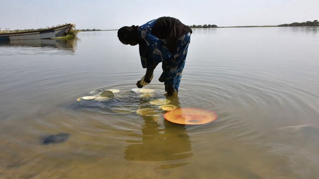 Mujer lavando unos platos en el lago Chad.