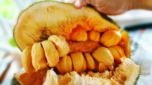 பலாப் பழம்