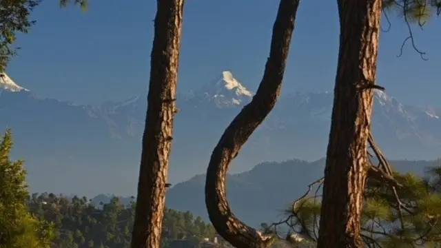 पहाड़