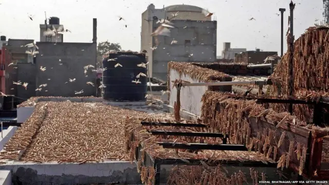 प्रातिनिधिक फोटो