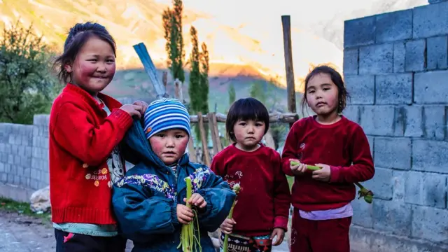 согон үзгөн балдар