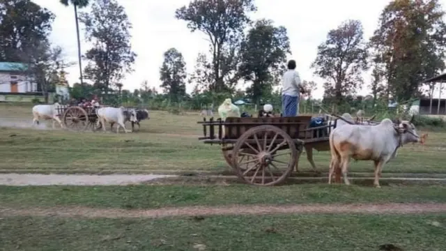 ရွာလုံးကျွတ်နီးပါးစစ်ဘေးတိမ်းရှောင်နေကြ