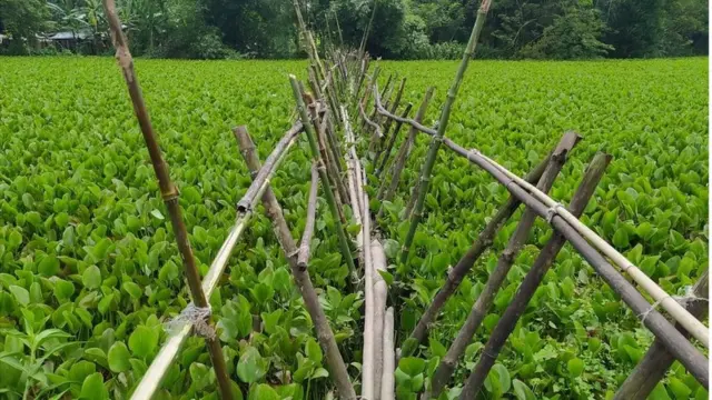 তুজির বাজার সাঁকো