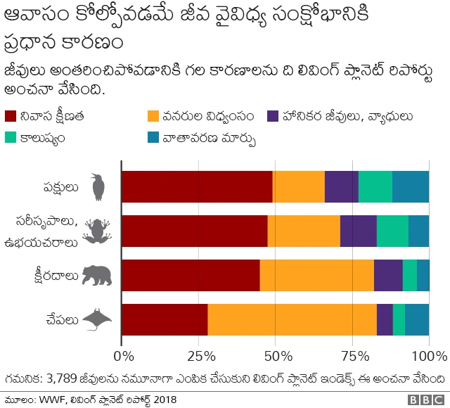 జీవ వైవిధ్యం, ప్రకృతి సంక్షోభం