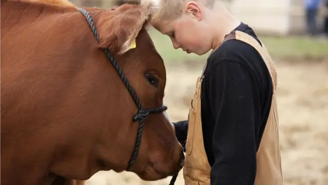 Хлопчик і теля