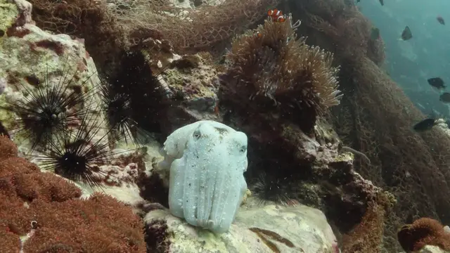 သန္တာကျောက်တန်း