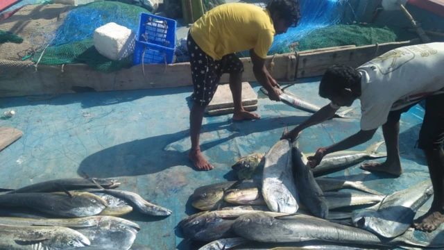 ఏపీ జాలర్లు