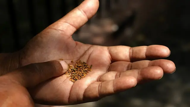 కాన్సర్