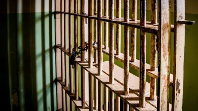 Jail bars (file photo)