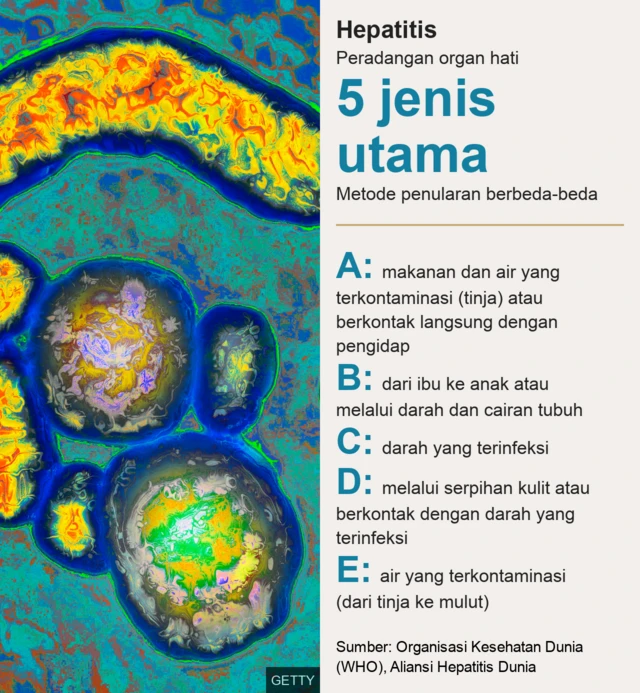 tipe penularan hepatitis