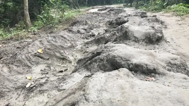 सुस्ता की तरफ़ जा रही सड़क