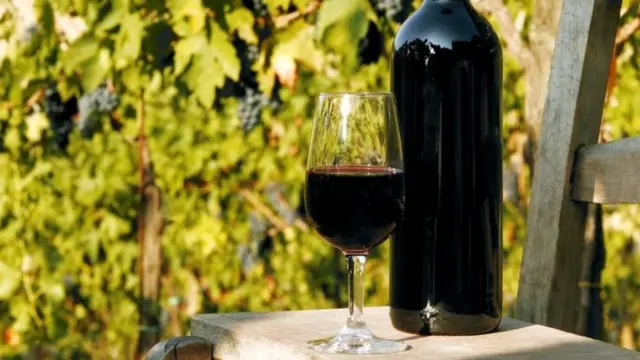 ग्रेप वाइन